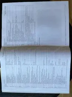 Harley Davidson Shavel Head Bild 4