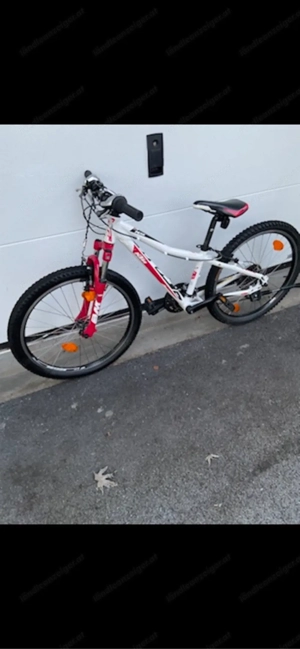 Ktm Kinderfahrrad 24 Bild 3