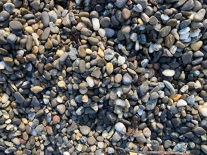 Rheinkies zu verschenken Bild 2