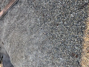 Rheinkies zu verschenken