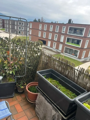 Bregenz - Wohnung zu vermieten ohne Makler Bild 2