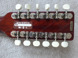 Maya 12-seitige Akustik Gitarre Bild 5