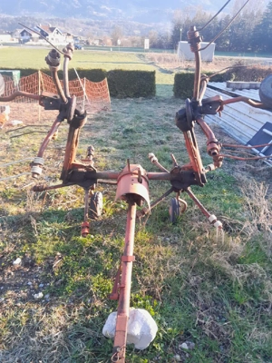 Alter Kreisler Bild 2