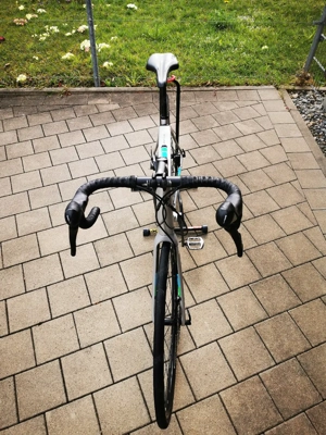 Trek Domane ALR  Bild 5