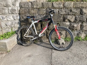 Fahrrad zu verkaufen Bild 2