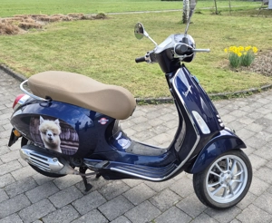 Vespa Primavera 50 GT dunkelblau Bild 3