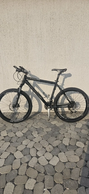 Curtis Element Team (Mountainbike)