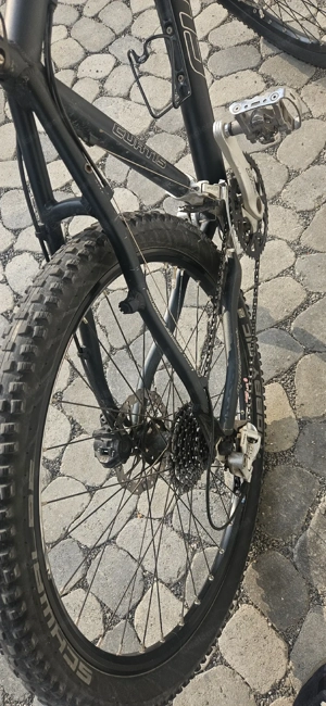 Curtis Element Team (Mountainbike) Bild 4