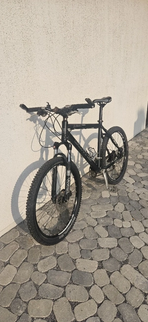 Curtis Element Team (Mountainbike) Bild 2