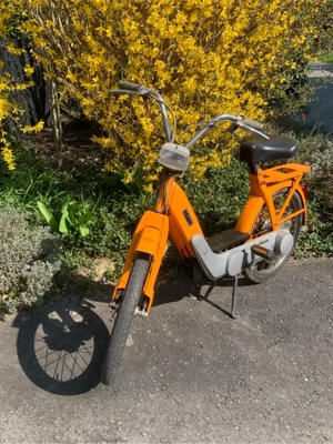 Piaggio Ciao, Variomatik, keine Vespa Bild 2