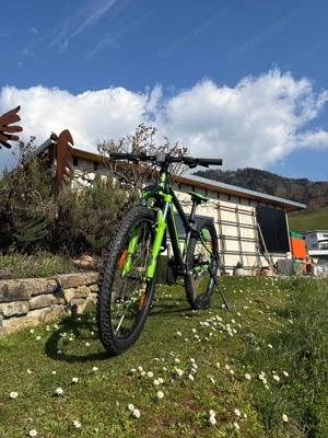 Kindefahrrad von KTM Bild 4