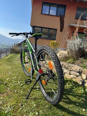 Kindefahrrad von KTM Bild 3