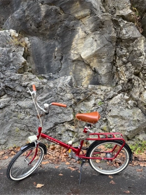Klapprad Alpina Luxus Sport Bild 3