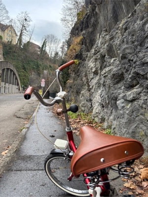 Klapprad Alpina Luxus Sport Bild 4