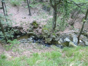 200000m2 Wildnis-Paradies! Bild 10