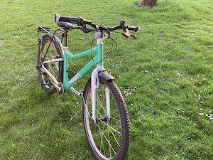 WOOM 5 Kinderfahrrad  (türkis) Bild 2