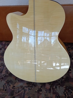 Takamine EG523SC neuwertig ohne Fehler mit Koffer Bild 2
