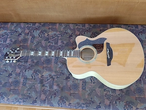 Takamine EG523SC neuwertig ohne Fehler mit Koffer Bild 10