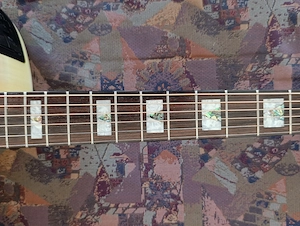 Takamine EG523SC neuwertig ohne Fehler mit Koffer Bild 4