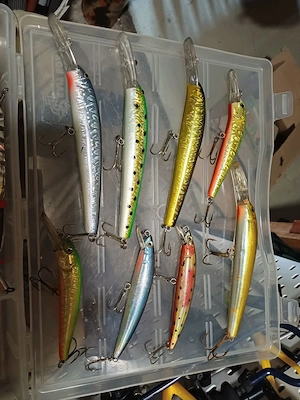 Rapala und Gummifsche 