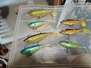 Rapala und Gummifsche  Bild 2