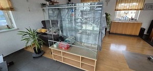 Terrarium 120x60x100 