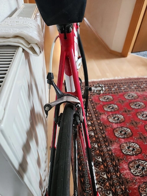 Trek Rennrad Alpha   Einsteiger Bike Bild 4