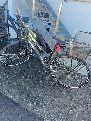 KTM Avenza Cross Street Damenrad