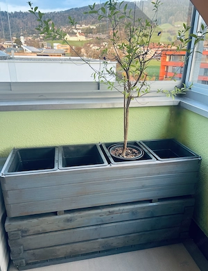 2 x Robuste, blaue Pflanzenkasten Bild 2