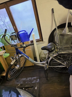 Damen Fahrrad Bild 4