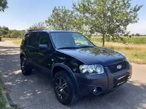 Ford Maverick Bild 4