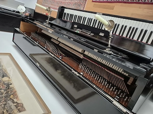 Klavier (1898) von Grotrian, Helfferich, Schulz, Th. STEINWEG Nachfolger Braunschweig Bild 3