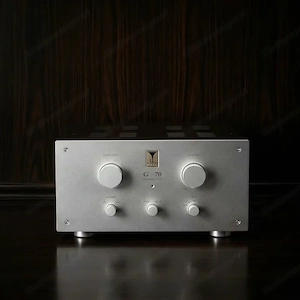 Audio Note Kondo G70             