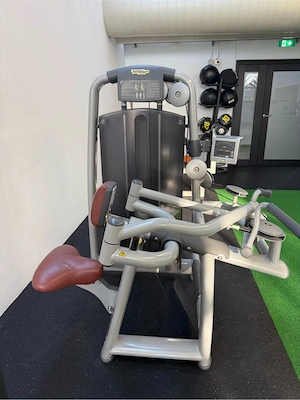 Technogym Upper Back Selection   Profi-Rückentrainer (Studioqualität) Bild 4