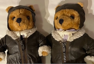 Pilot Teddy Paar vintage Bild 3