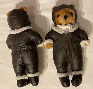 Pilot Teddy Paar vintage Bild 4