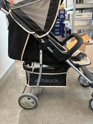 Buggy f. Kleinkinder Bild 4