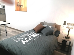 Homeoffice-Apartment-Kurzzeitmiete ,all incl., Dornbirn, neu möbliert, incl WLAN, Miniküche mit KS Bild 4