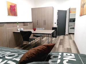 Homeoffice-Apartment-Kurzzeitmiete ,all incl., Dornbirn, neu möbliert, incl WLAN, Miniküche mit KS