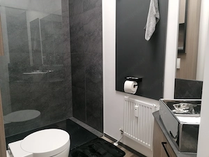 Homeoffice-Apartment-Kurzzeitmiete ,all incl., Dornbirn, neu möbliert, incl WLAN, Miniküche mit KS Bild 3
