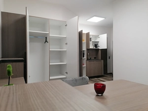 Homeoffice-Apartment-Kurzzeitmiete ,all incl., Dornbirn, neu möbliert, incl WLAN, Miniküche mit KS Bild 7