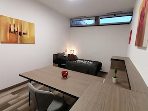 Homeoffice-Apartment-Kurzzeitmiete ,all incl., Dornbirn, neu möbliert, incl WLAN, Miniküche mit KS Bild 5