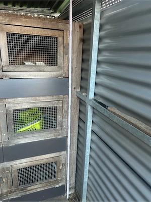 Hasenstall mit 9 Boxen Bild 4