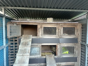 Hasenstall mit 9 Boxen