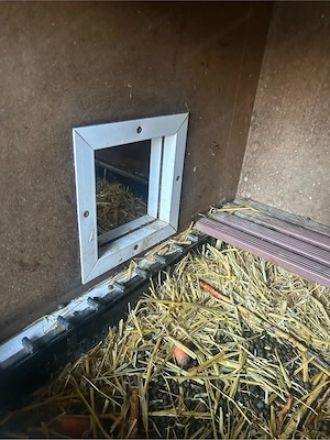 Hasenstall mit 9 Boxen Bild 3