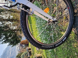 Woom 5 Kinderfahrrad in blau Bild 5