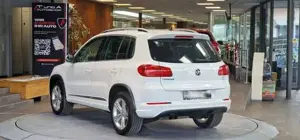 Volkswagen Tiguan Bild 6