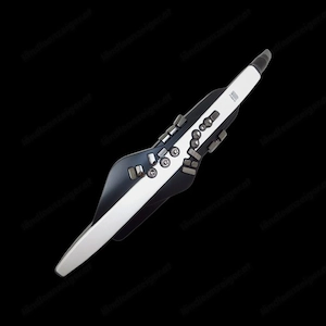 Digitales Blasinstrument 