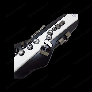 Digitales Blasinstrument  Bild 4