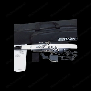 Digitales Blasinstrument  Bild 5